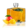 Gin Botanic Cubical Mango