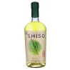 Schiso liqueur - Dennis Zoppi