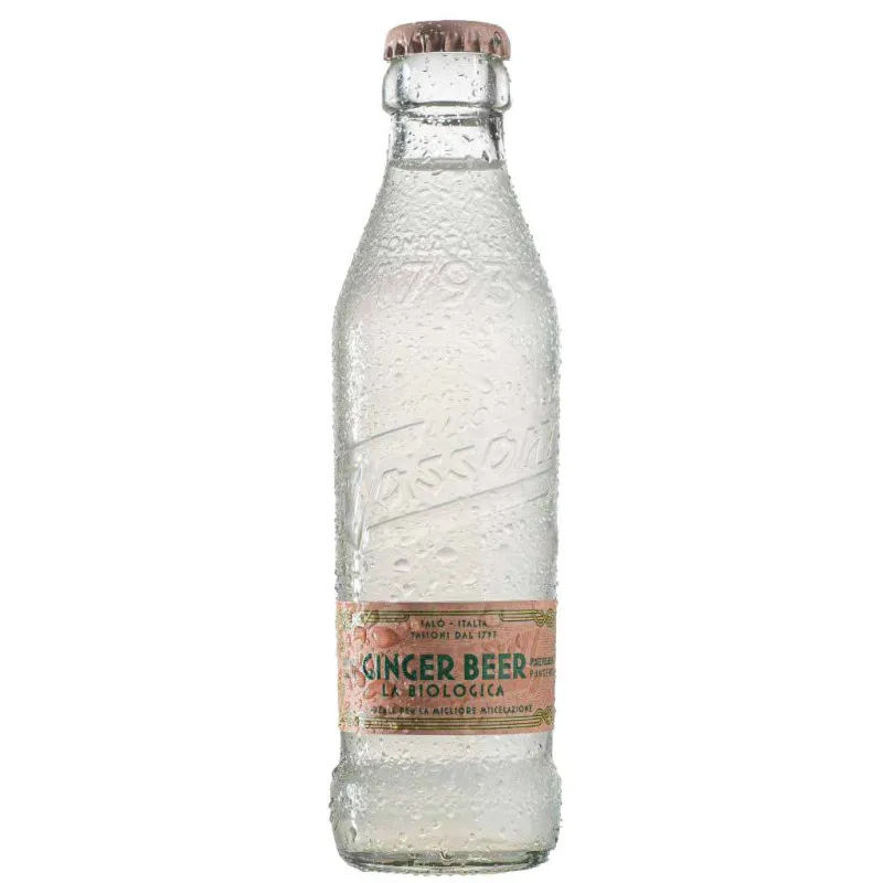 25 x Ginger Beer Tassoni BIO