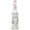 Monin Barley Water Syrup