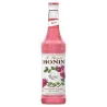 Sirup Rosa Monin