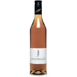Liquore Giffard Vanilia Del Madagascar